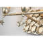 Star 3 Light Bath Vanity In Silver-1797019177