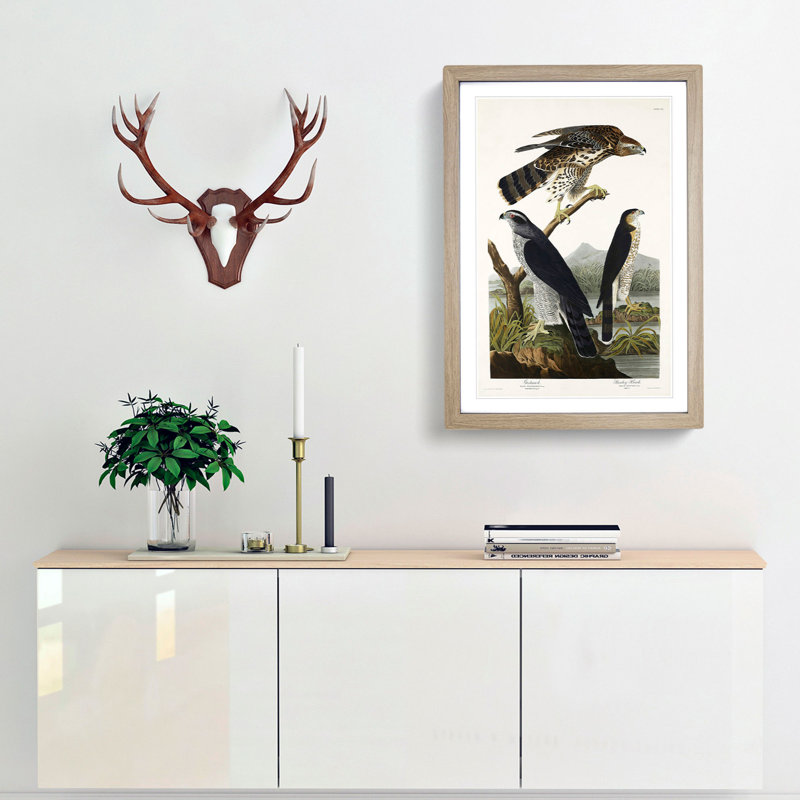 Goshawks & Stanley Hawk by John James Audubon - Picture Frame Painting Print, 48cm H x 36cm W x 2cm D, Oak Framed