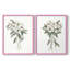Impression encadrée Mountain Laurel I-Premium - prête à être accrochée - aucun clou requis - aucun clou requis-624468779-624468752