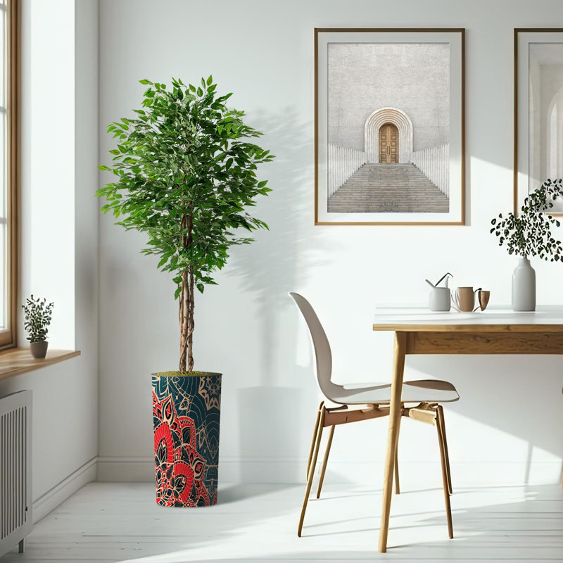 75 plantes, Mandala rouge