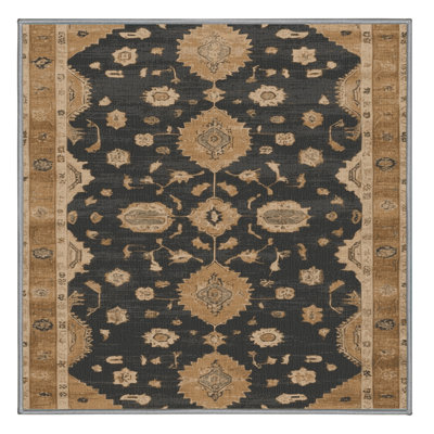 Machine Washable Overdyed Brown Area Rug