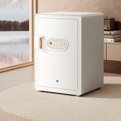 Armoire anti-vol 16,54 po