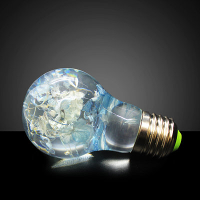 1,5 W (1 watt équivalent), A60 DEL, ampoule à intensité variable, blanc chaud (6 000 K) E26 / culot moyen (standard)