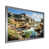 Silver Single Picture Framed selected