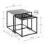 Krystsina 2 Piece Side Table Set