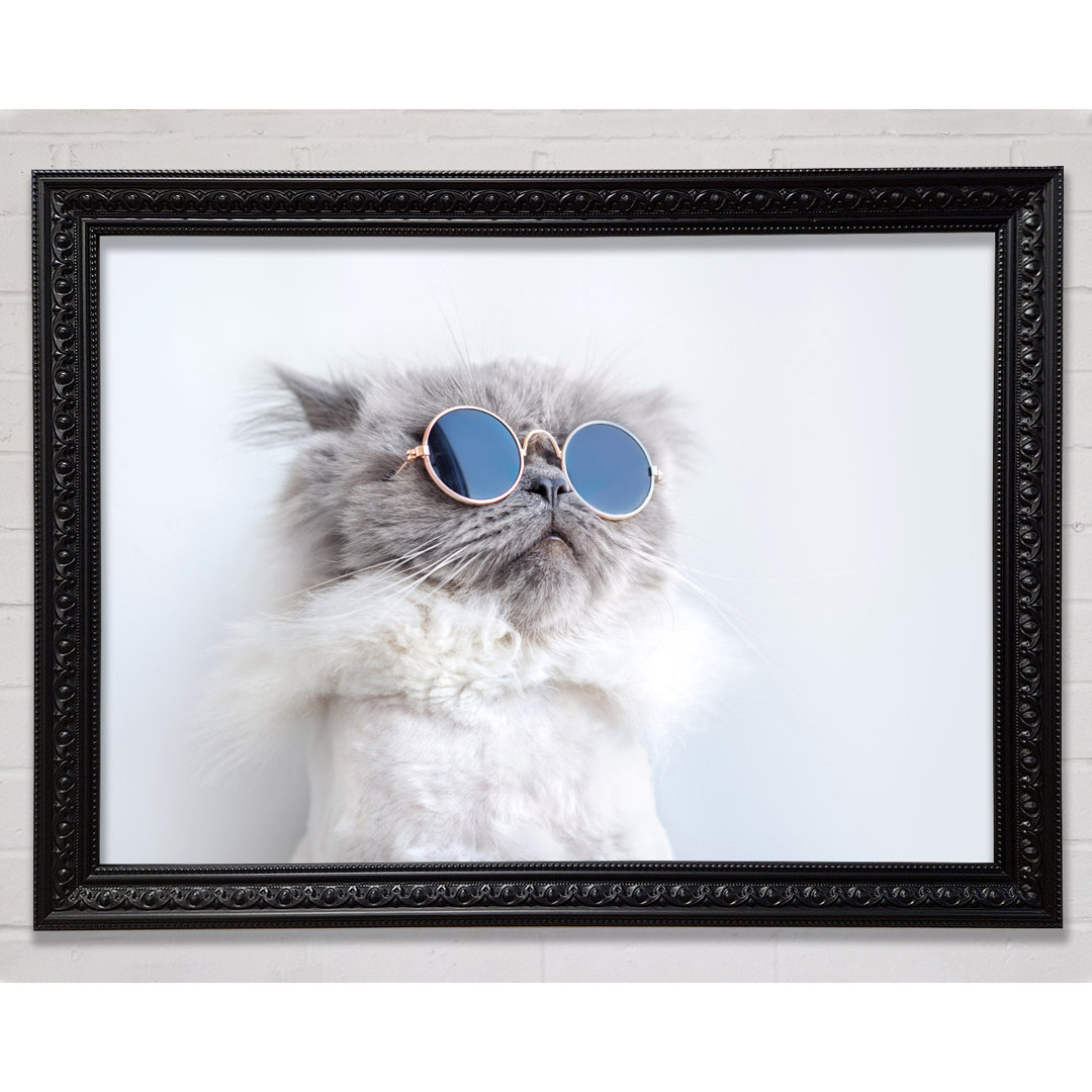 Die Katze mit Brille - Einzelne Bilderrahmen Kunstdrucke