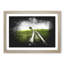 Path to a Lone Tree - Picture Frame Graphic Art Print-56861799-56861798
