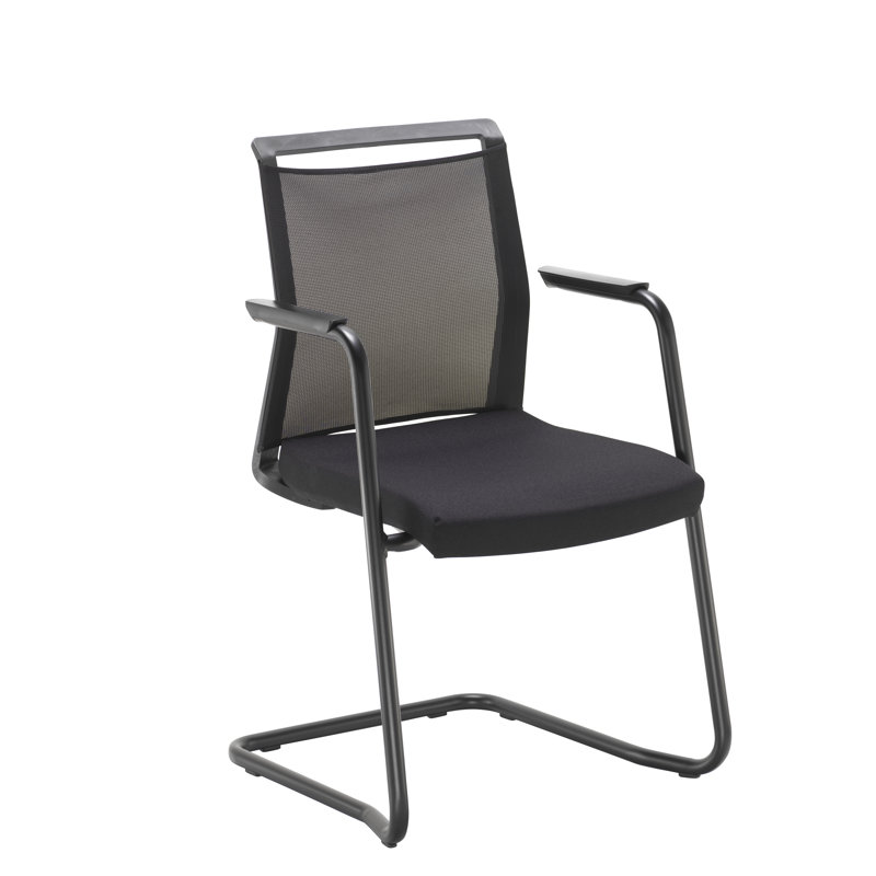 Massaro Conference Chair