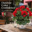 Silk Geranium Bush avec 7 têtes intérieur / extérieur