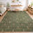 Machine Washable Indoor/Outdoor Chantille ACN2691 Kids Rug-1097892734-1097892709