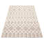 Hasnaa Performance Hand Braided Wool Rug