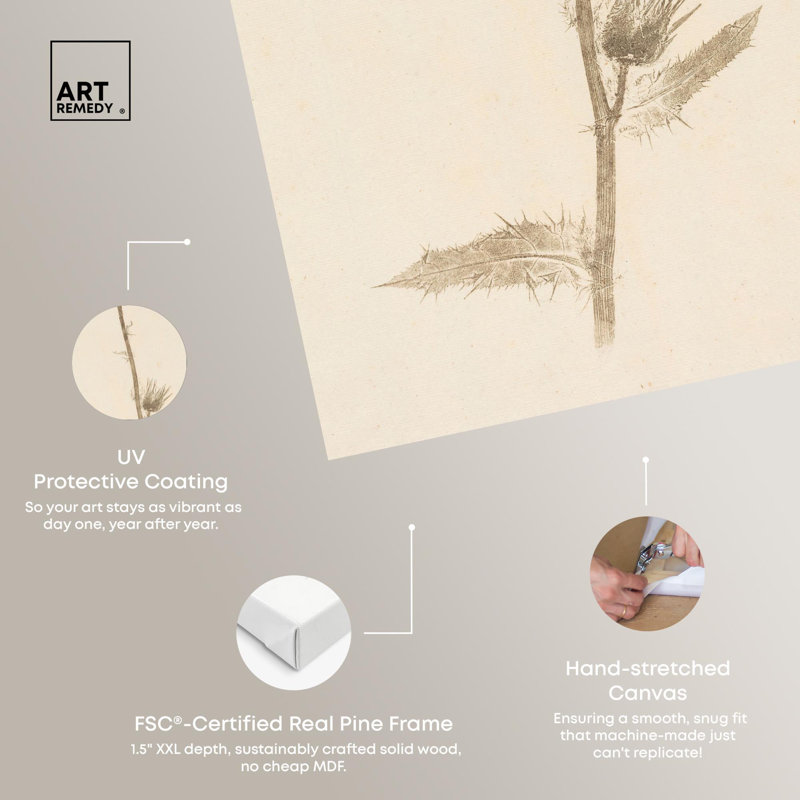 «Austere Beauty», reproduction d'art sur toile par Art Remedy, H 36 po x l 24 po, Toile tendue avec châssis