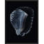Tidal Blues 1 Print by Art House Studios-1583746818