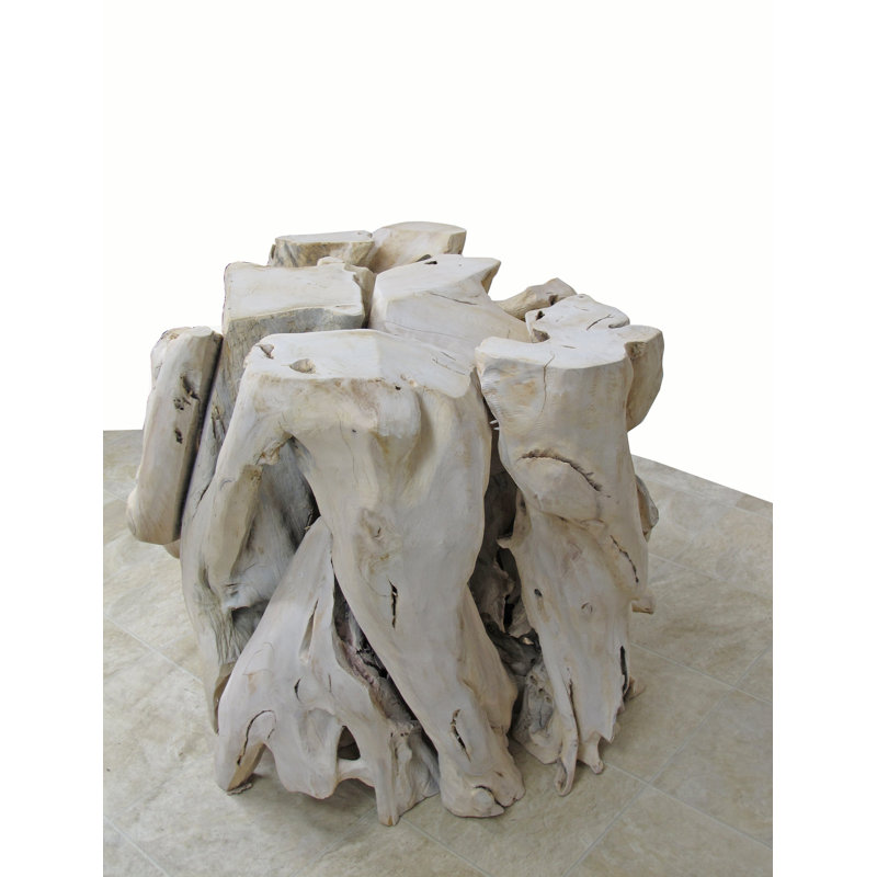 Teak Root Sculpture