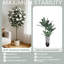 Arrangement