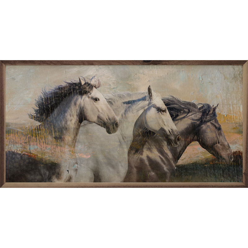 Cheval Northwind Freedom, H 18 po x l 36 po