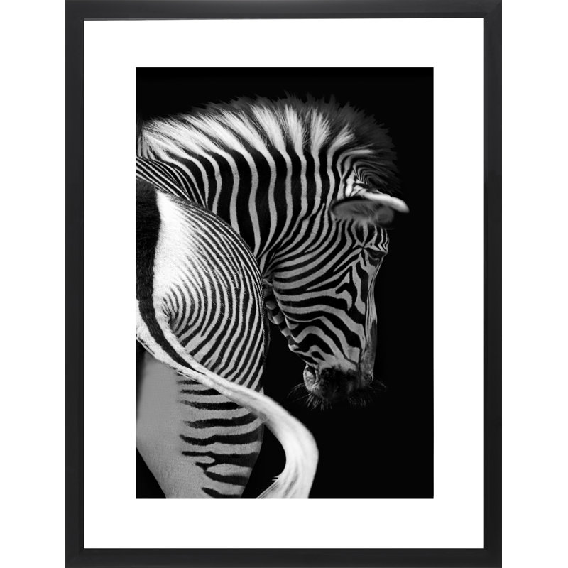 Zebra - Print on Wood