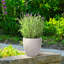 Idealist Plaited Style Round Planter Outdoor Plant Pot-537133204-537133203