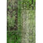 Tapis vert / gris 8 pi 3 po x 11 pi 6 po Overdye One-of-a-Kind