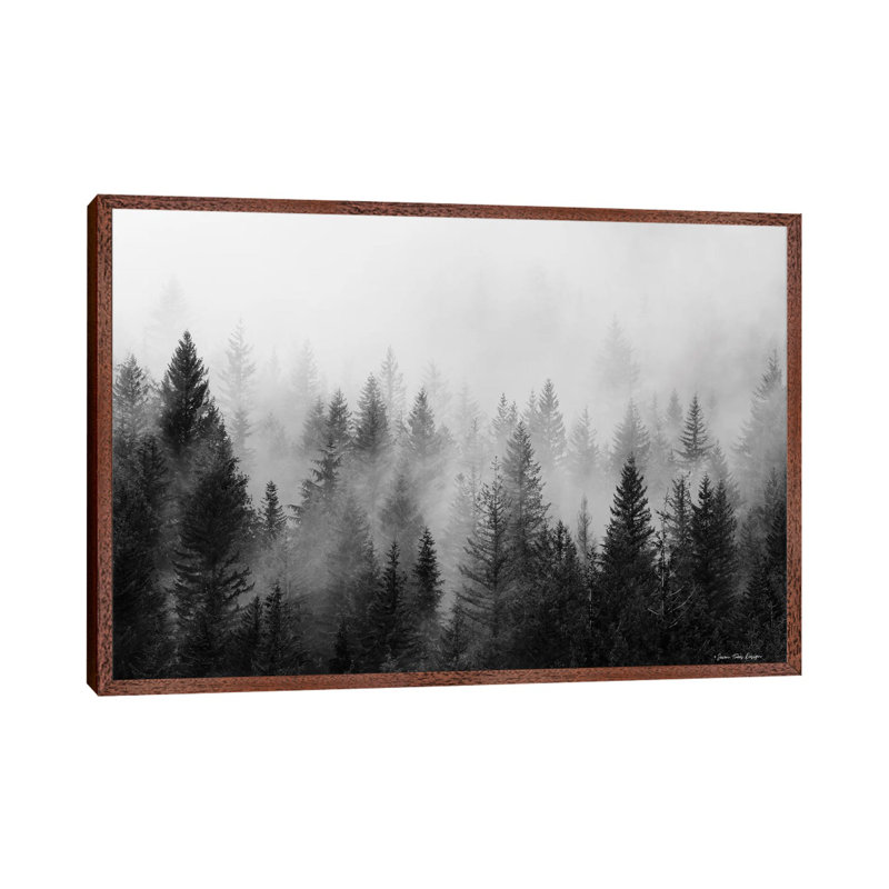 Forest - Print on Canvas, 66.04 cm H x 45.72 cm W, Classic Brown Wood Framed