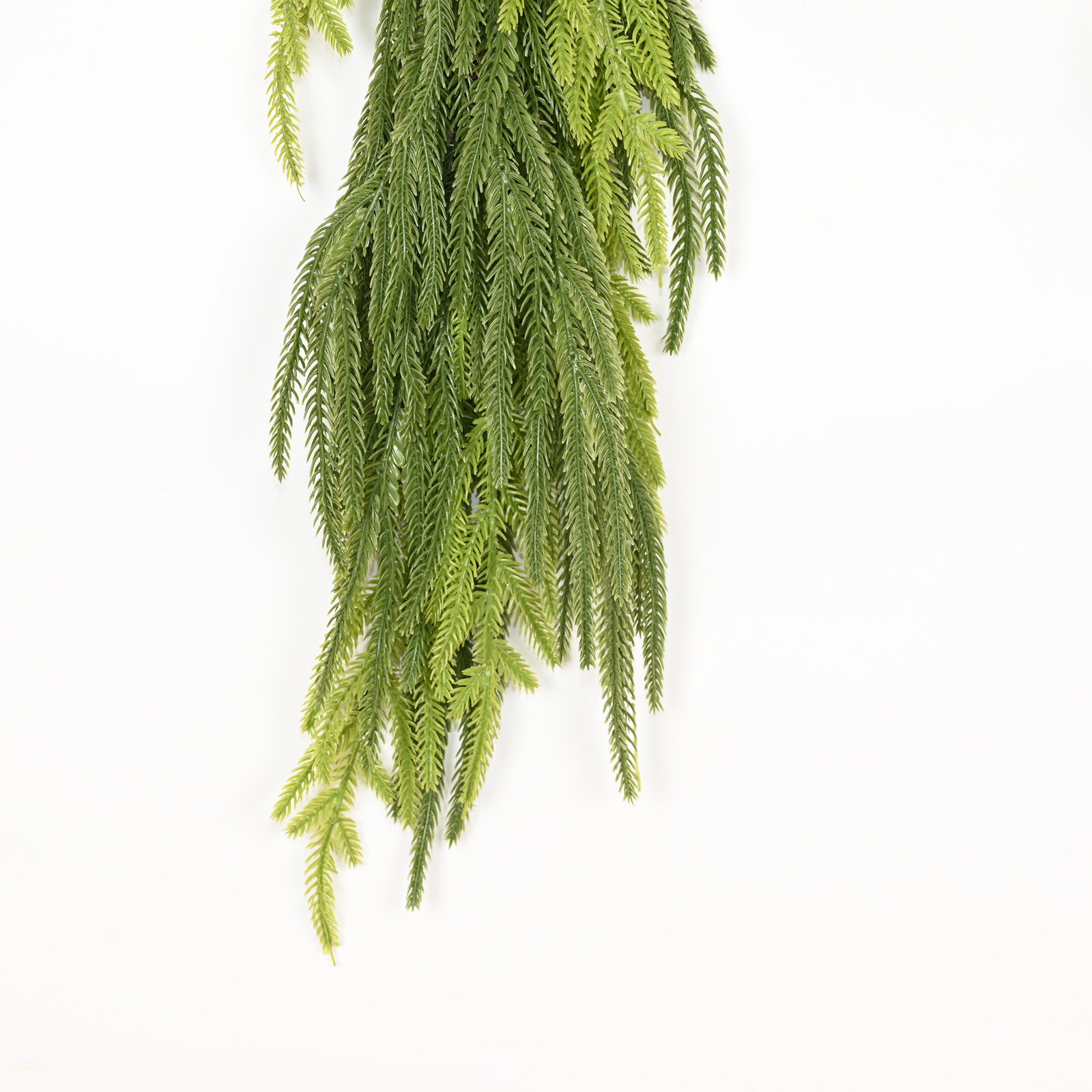 4" Norfolk Pine Christmas Garland