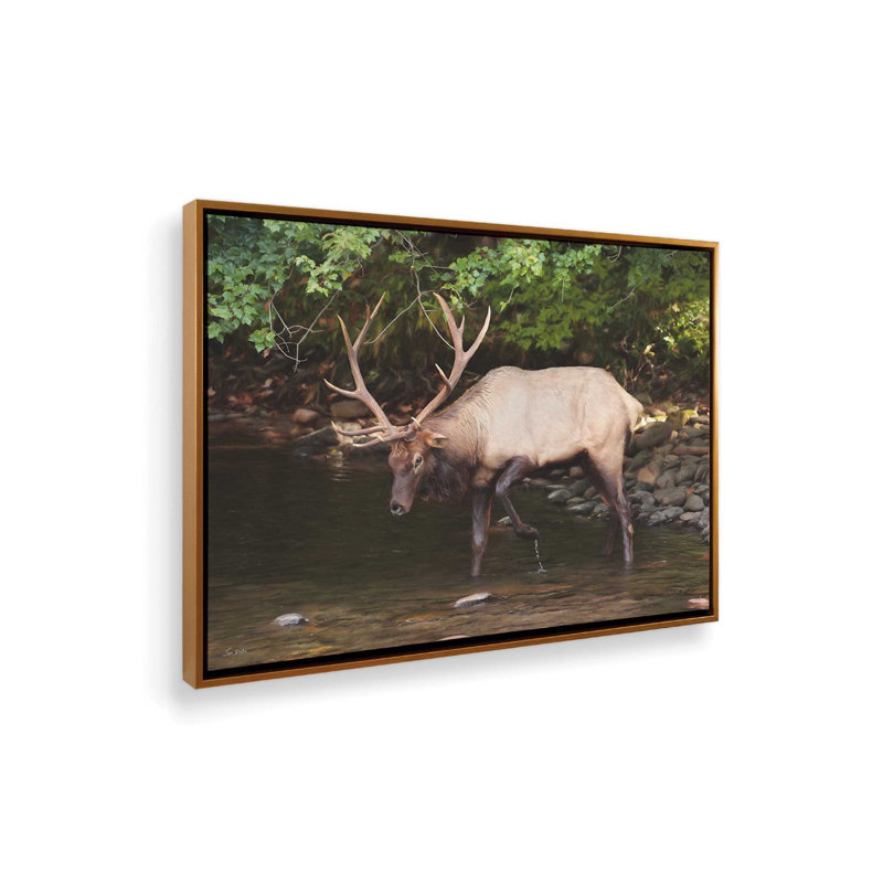 «Cherokee Elk II» par Lori Deiter, reproduction d'art, Toile avec cadre, Doré, L 16 po x H 12 po