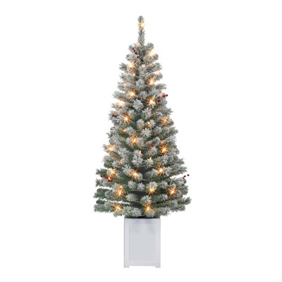 60' Lighted Spruce Christmas Tree