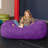 Jaxx Jr. Bean Bags Microfiber / Microsuede Bean Bag Chair & Lounger-19034377