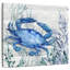 Brampt Navarre Sealife Driftwood I-109373529