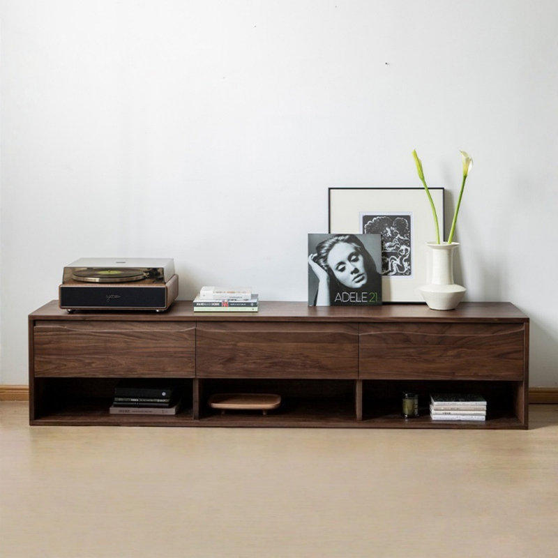 Minimalist Creative TV Stand