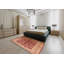 Oriental Indoor Rug-554955656
