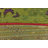Merrimac Floral Indoor / Outdoor Rug-1528071966