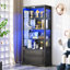66" H Glass Display Cabinet with 2-Drawers & Led Lights,  Curio Cabinet with Adjustable Glass Shelves