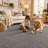 Sorbus Interlocking Foam Floor Tiles, 3/8-inch EVA Floor Mats with Borders, Carpet Gray, 96 Sq Ft-138286845