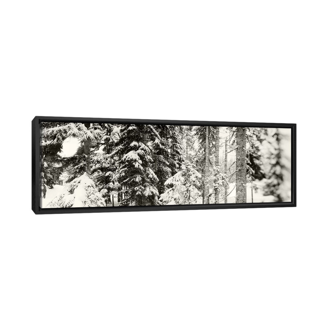 " Snow Covered Evergreen Trees At Stevens PassWashington State, USA " by Panoramic Images Ebern Designs 