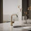 Robinet de bar Purist avec accessoires-89222511