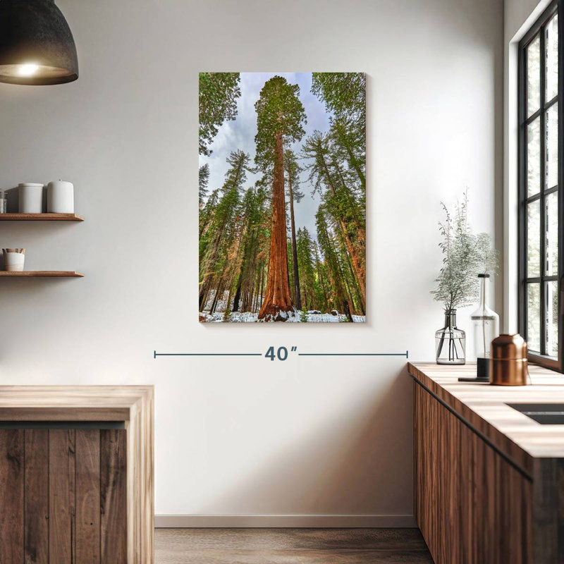 Harnek Giant Sequoia Grove, 39" H x 26" W