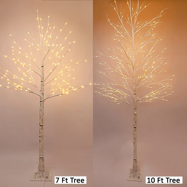 The Holiday Aisle® Birch 48' Traditional Christmas Tree with LED Lights and Remote  Control, Christmas Tree