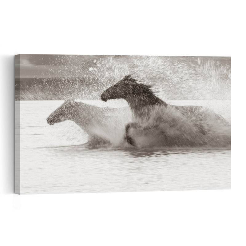 Cheval sauvage, éclaboussures d'eau, reproduction d'art murale cheval contemporain, 12" H x 18" W