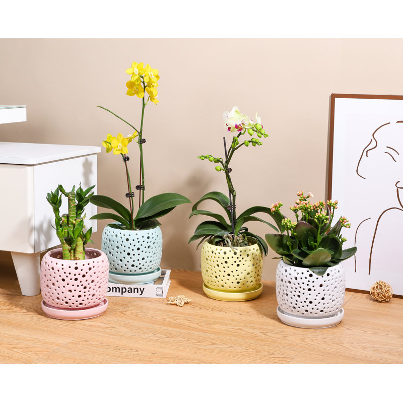 Pot de fleurs pour orchidées « Goutte de pluie » - Petit pot en céramique émaillée pastel (lot de 6) - Sula Outdoor