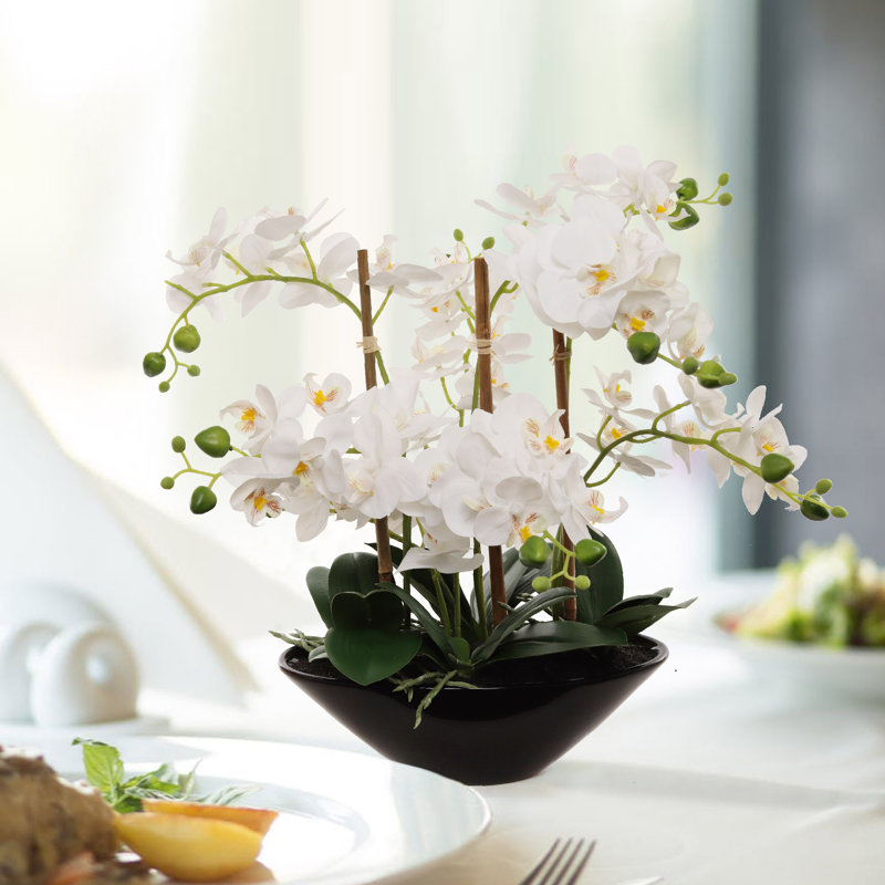 18" White Phalaenopsis Orchid Flowers In Black Ceramic Vase