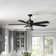 Clarence 56'' Ceiling Fan with Light Kit