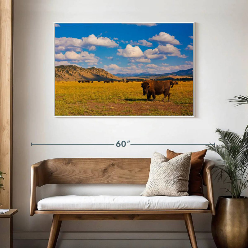 Bison dans le parc national, Cadre flottant blanc, 46 po x 31 po