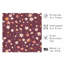 Motif floral de fleurs sauvages II-1529113398