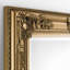Vigue Rectangle Leaning Full Length Mirror