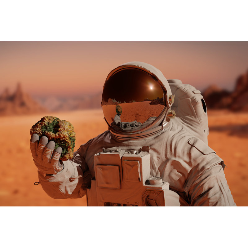 Life On Planet Mars, - Wrapped Canvas Print, 20cm H x 30cm W x 3.8cm D