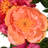 36" Spring Flowers Mailbox Swag