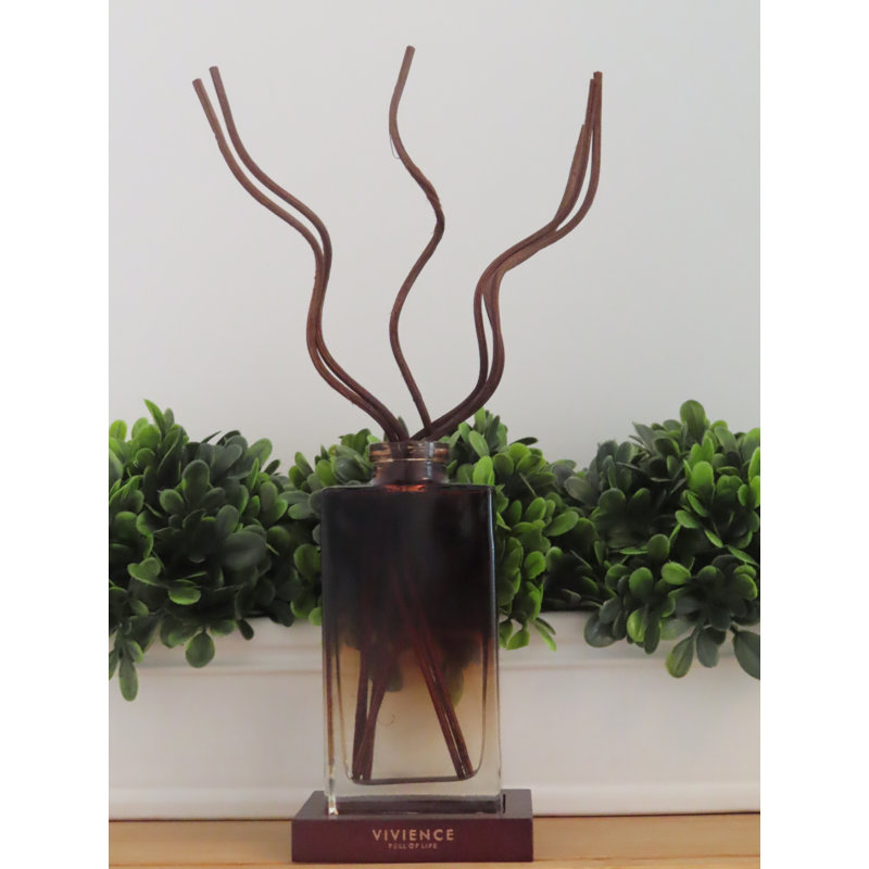 Kashtan Plant / Floral Diffuser