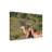 Bolog Bob Langrish Impala Canvas Art-104137645