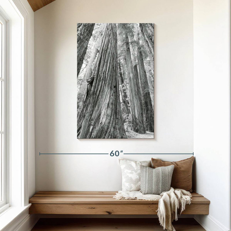Harnek Redwoods Forest BW, 45" H x 30" W